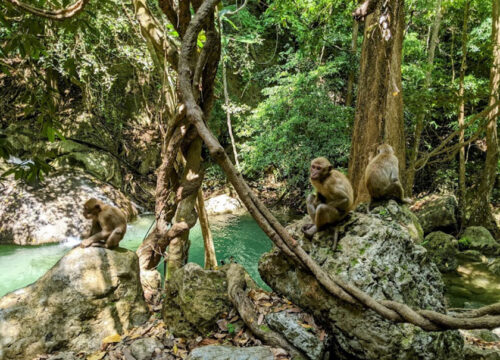 Erawan waterfalls - Erawan national park