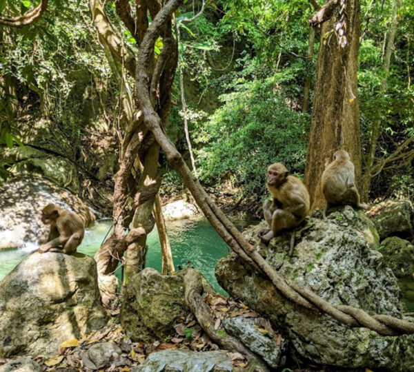 Erawan Waterfalls