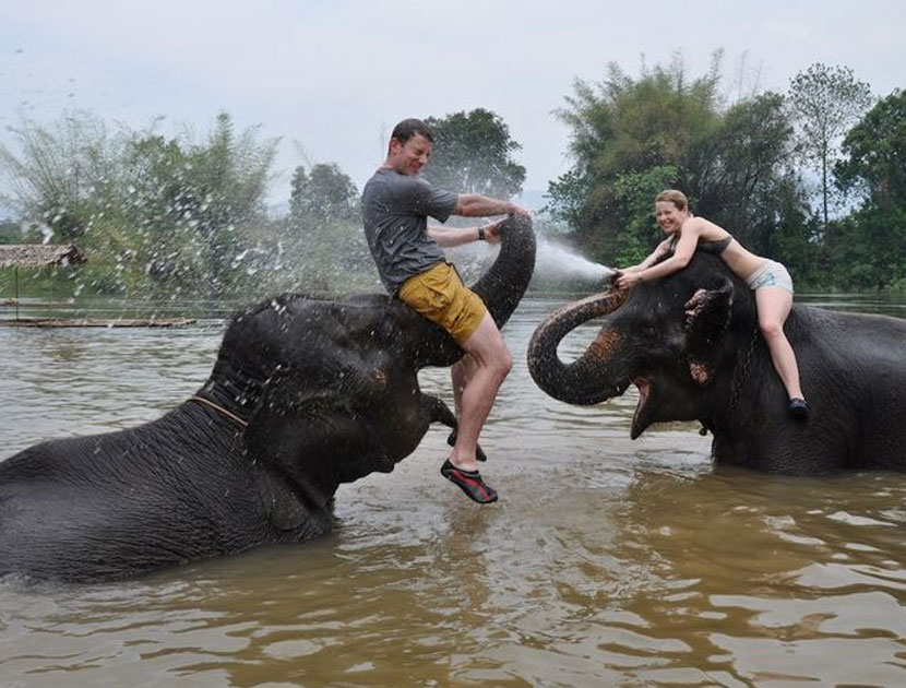 Elephants World Kanchanaburi