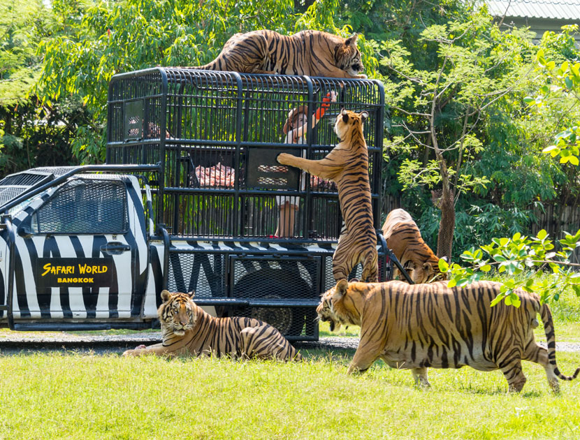 Safari World Bangkok