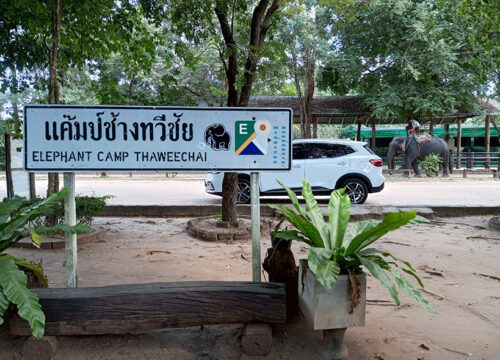 Taweechai Elephant Camp