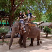 Taweechai Elephant Camp Kanchanaburi