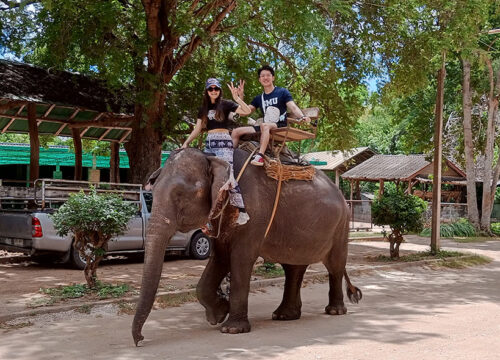 Taweechai Elephant Camp Kanchanaburi