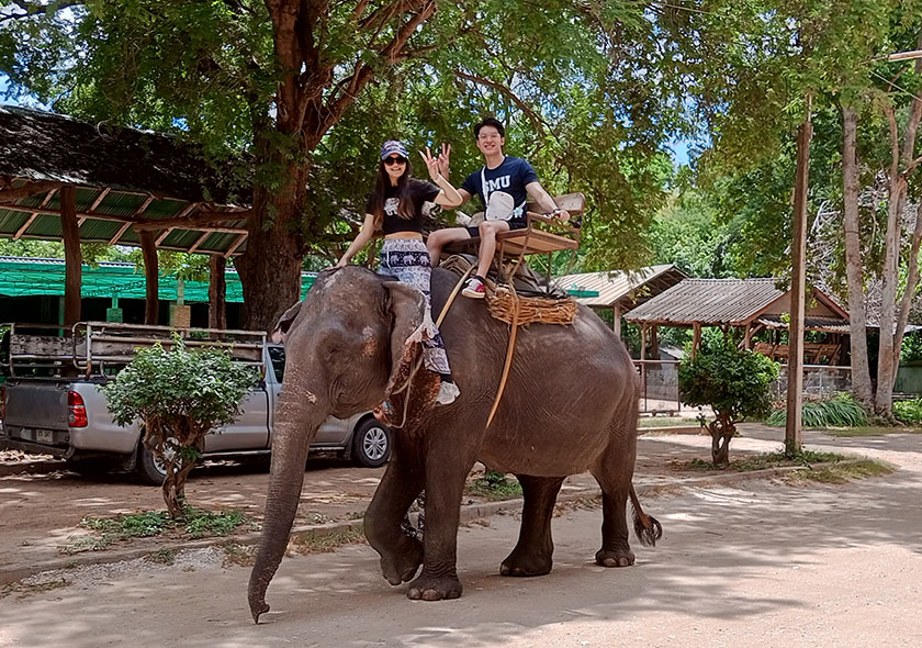 Taweechai Elephant Camp Kanchanaburi