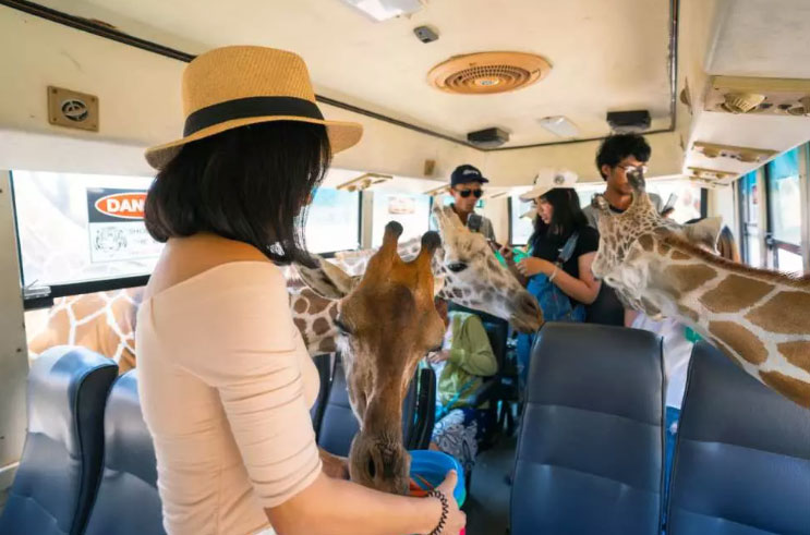 Safari Park Kanchanaburi