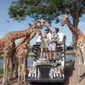 Safari Park Kanchanaburi