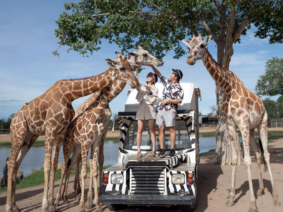 Safari Park Kanchanaburi