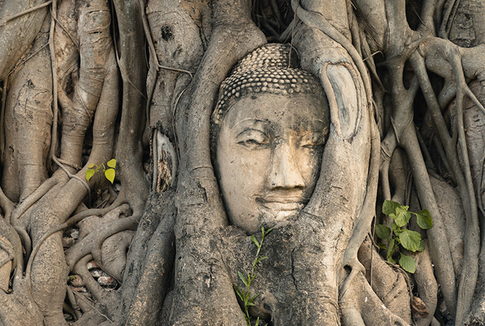 Kanchanaburi to Ayuttaya