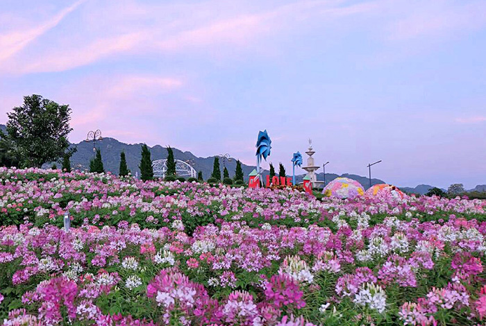 Kanchanaburi to Khao Yai