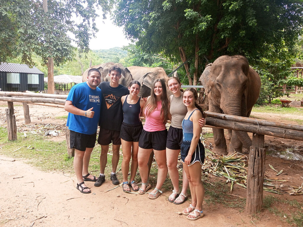 Elephant Haven Thailand